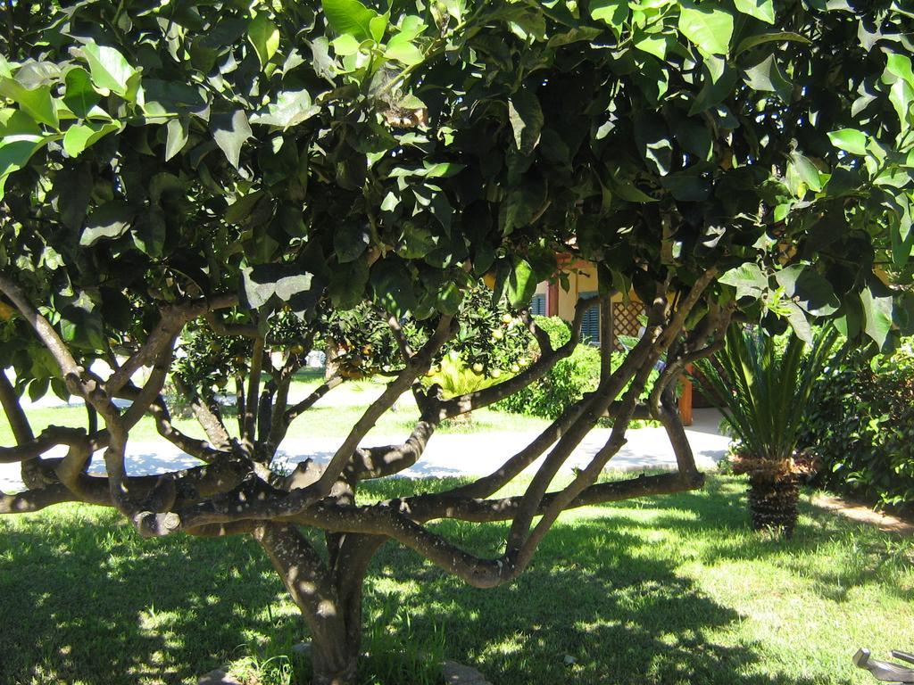 Tenuta Paifer Otranto Exteriér fotografie